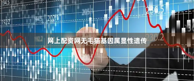 网上配资网无毛猫基因属显性遗传