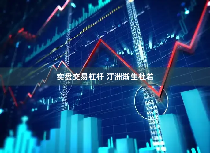 实盘交易杠杆 汀洲渐生杜若